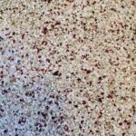 red flakes flooring